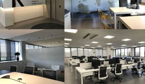 proyecto-tylor-nelson-sofres-2